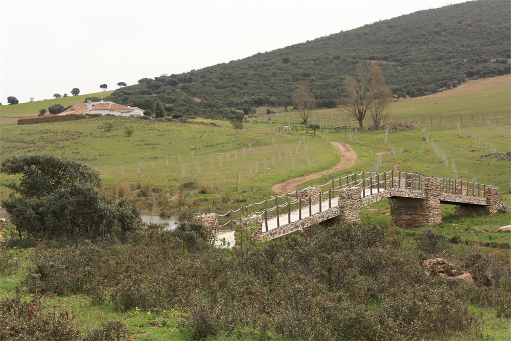 imagen senderoruta GR164