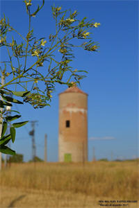 Castellar de Santiago