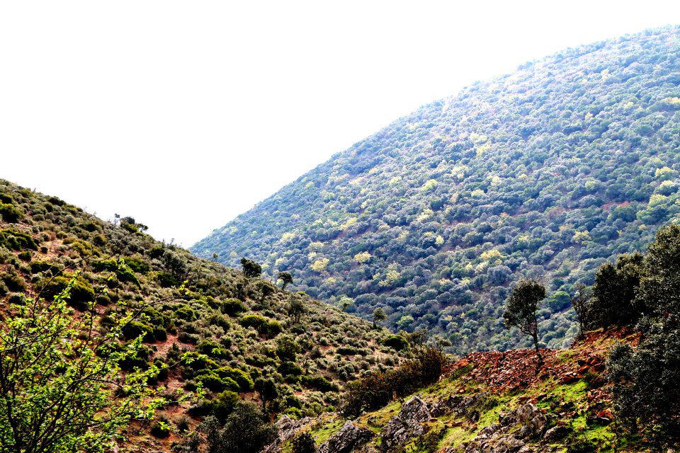 imagen  cicloturismo